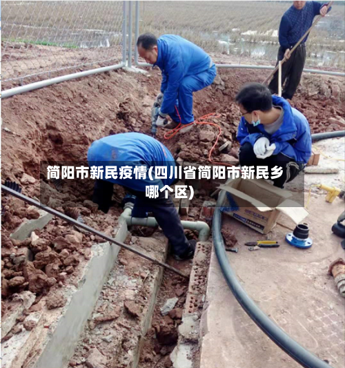 简阳市新民疫情(四川省简阳市新民乡哪个区)-第3张图片