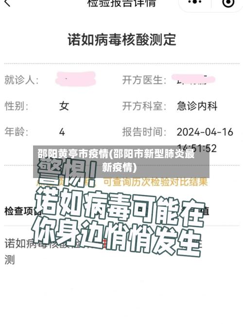 邵阳黄亭市疫情(邵阳市新型肺炎最新疫情)-第2张图片