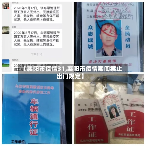 【襄阳市疫情31,襄阳市疫情期间禁止出门规定】-第1张图片