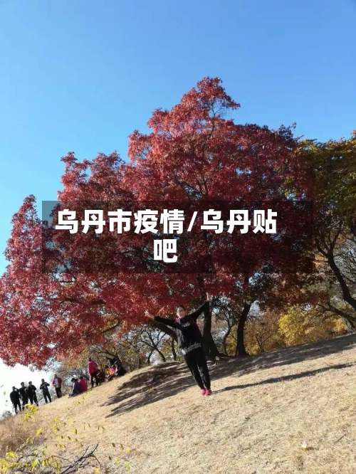 乌丹市疫情/乌丹贴吧-第2张图片