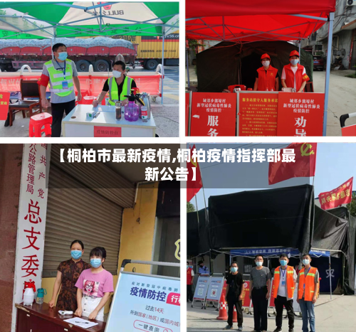 【桐柏市最新疫情,桐柏疫情指挥部最新公告】-第2张图片