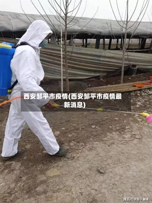 西安邹平市疫情(西安邹平市疫情最新消息)-第1张图片