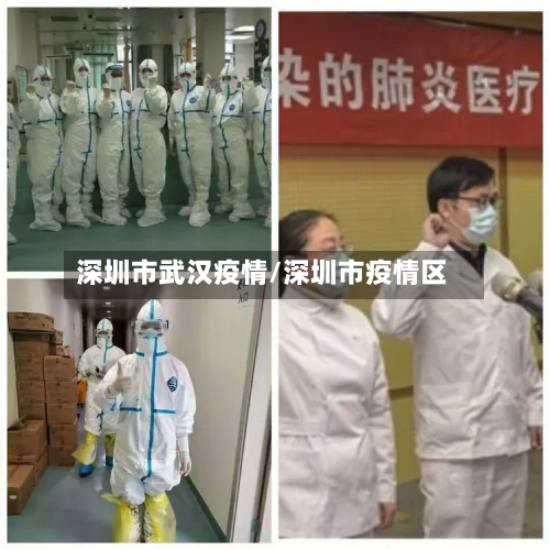 深圳市武汉疫情/深圳市疫情区-第2张图片