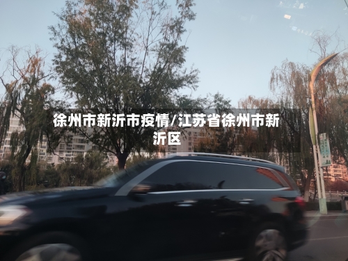 徐州市新沂市疫情/江苏省徐州市新沂区-第2张图片