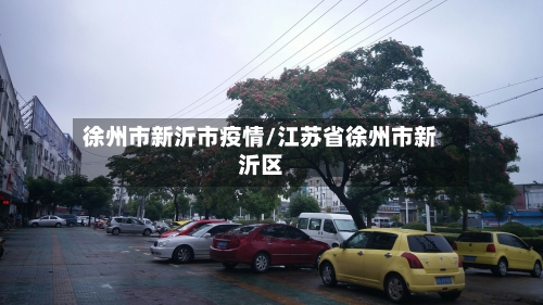 徐州市新沂市疫情/江苏省徐州市新沂区-第1张图片
