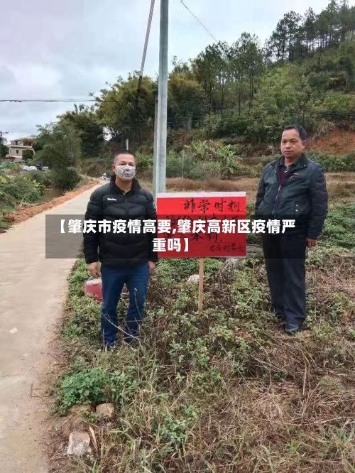 【肇庆市疫情高要,肇庆高新区疫情严重吗】-第3张图片