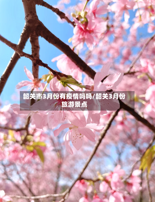 韶关市3月份有疫情吗吗/韶关3月份旅游景点-第2张图片