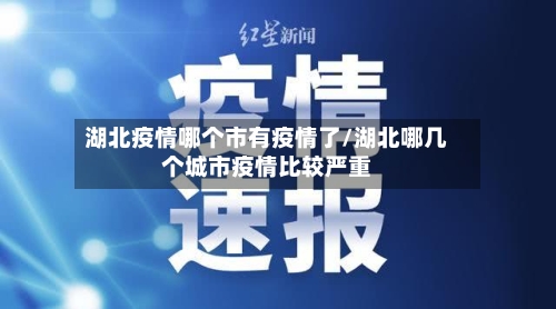 湖北疫情哪个市有疫情了/湖北哪几个城市疫情比较严重-第1张图片