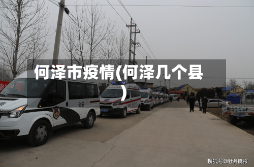 何泽市疫情(何泽几个县)-第3张图片