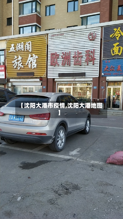 【沈阳大潘市疫情,沈阳大潘地图】-第1张图片
