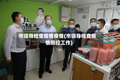 市领导检查疫情疫情(市领导检查疫情防控工作)-第3张图片