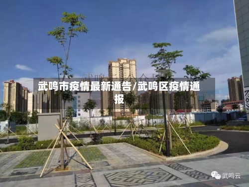 武鸣市疫情最新通告/武鸣区疫情通报-第2张图片