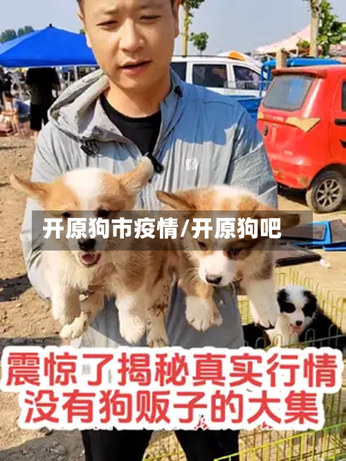 开原狗市疫情/开原狗吧-第1张图片