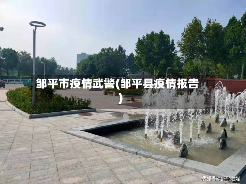 邹平市疫情武警(邹平县疫情报告)-第2张图片