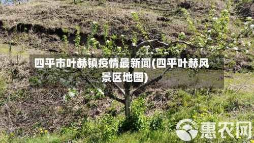 四平市叶赫镇疫情最新闻(四平叶赫风景区地图)-第1张图片