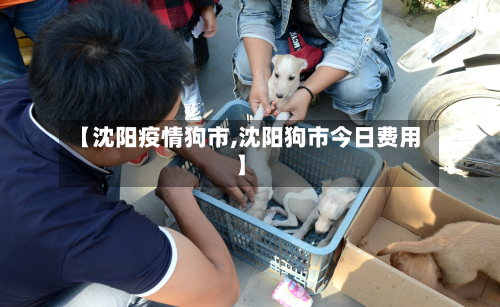 【沈阳疫情狗市,沈阳狗市今日费用】-第1张图片