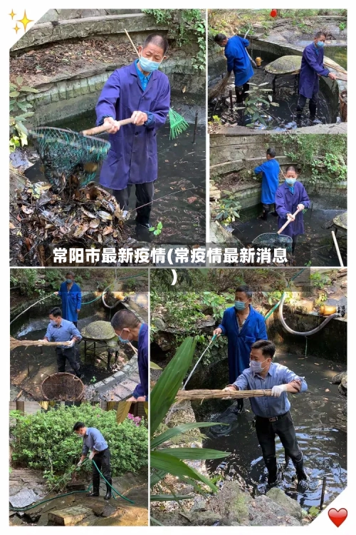 常阳市最新疫情(常疫情最新消息)-第2张图片