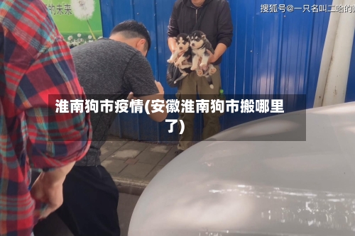 淮南狗市疫情(安徽淮南狗市搬哪里了)-第1张图片