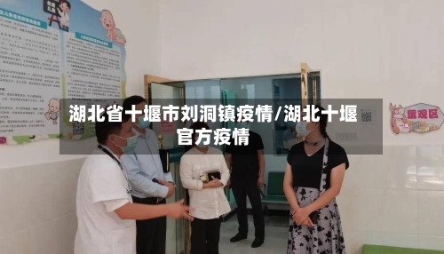 湖北省十堰市刘洞镇疫情/湖北十堰官方疫情-第3张图片