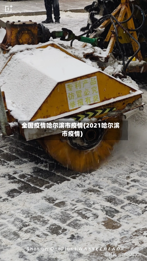 全国疫情哈尔滨市疫情(2021哈尔滨市疫情)-第2张图片