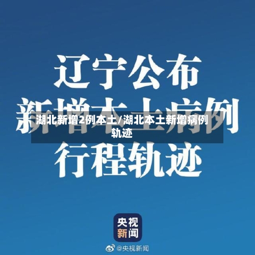 湖北新增2例本土/湖北本土新增病例轨迹-第1张图片