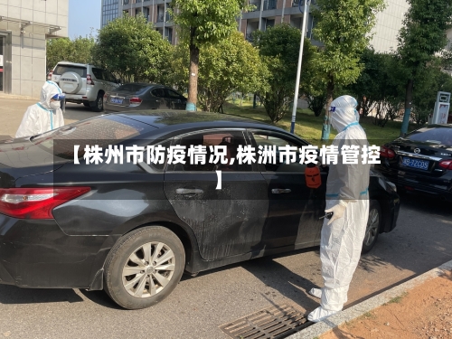 【株州市防疫情况,株洲市疫情管控】-第2张图片