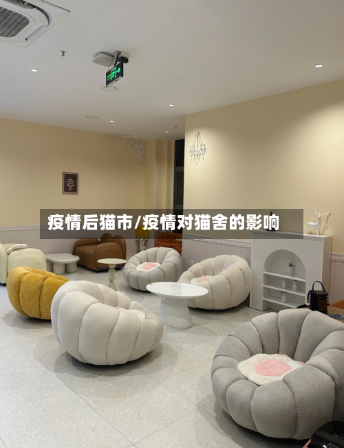 疫情后猫市/疫情对猫舍的影响-第3张图片