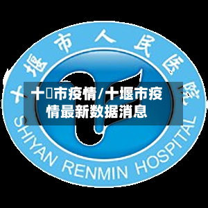 十匽市疫情/十堰市疫情最新数据消息-第2张图片
