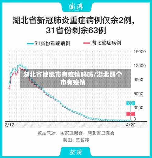 湖北省地级市有疫情吗吗/湖北那个市有疫情-第3张图片