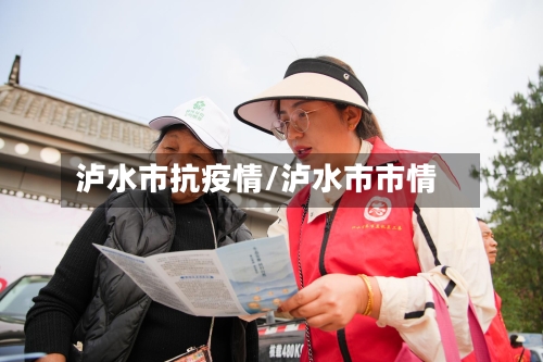 泸水市抗疫情/泸水市市情-第1张图片