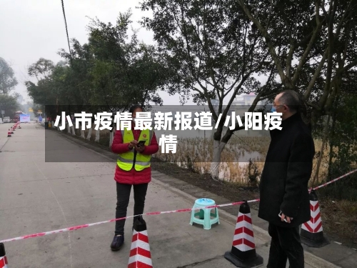 小市疫情最新报道/小阳疫情-第3张图片