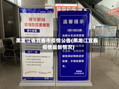黑龙江省宜春市疫情公告(黑龙江宜春疫情最新情况)-第1张图片