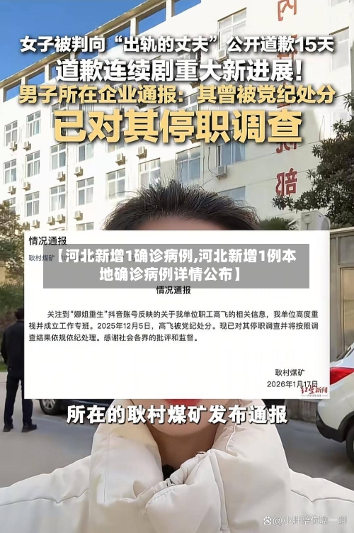 【河北新增1确诊病例,河北新增1例本地确诊病例详情公布】-第2张图片