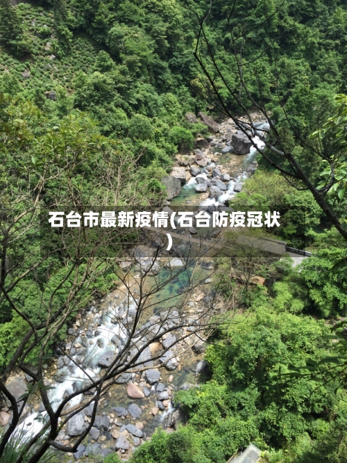 石台市最新疫情(石台防疫冠状)-第2张图片