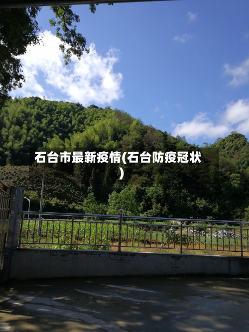 石台市最新疫情(石台防疫冠状)-第3张图片