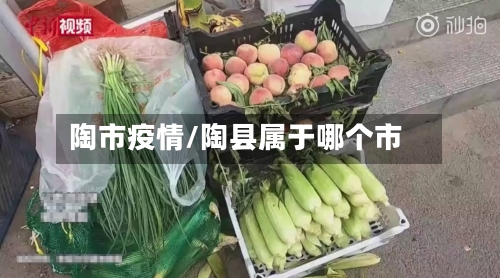 陶市疫情/陶县属于哪个市-第2张图片