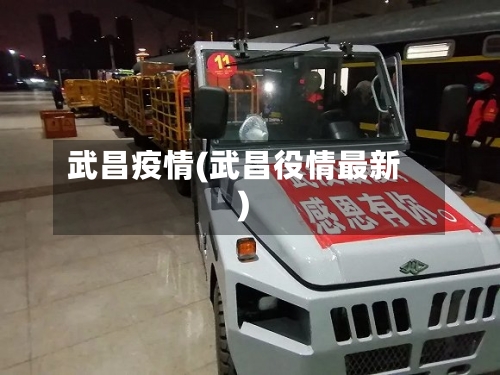 武昌疫情(武昌役情最新)-第3张图片