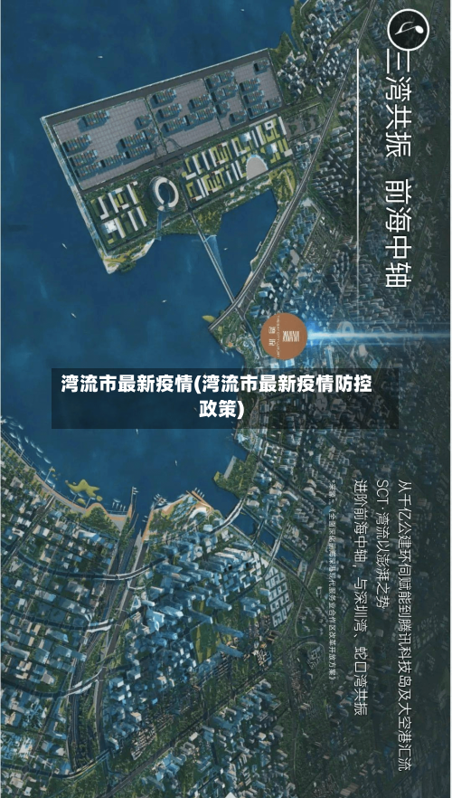 湾流市最新疫情(湾流市最新疫情防控政策)-第2张图片