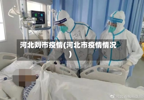 河北刘市疫情(河北市疫情情况)-第2张图片