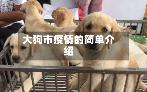 大狗市疫情的简单介绍-第3张图片