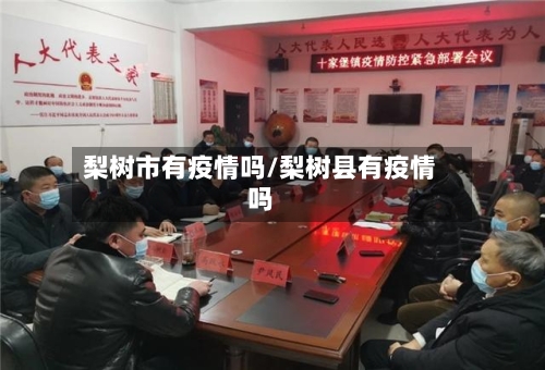 梨树市有疫情吗/梨树县有疫情吗-第1张图片