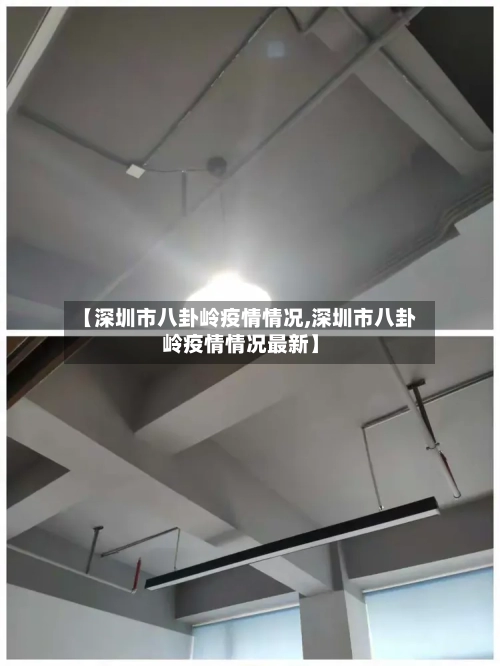 【深圳市八卦岭疫情情况,深圳市八卦岭疫情情况最新】-第1张图片