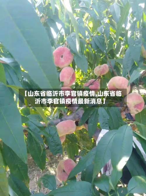 【山东省临沂市李官镇疫情,山东省临沂市李官镇疫情最新消息】-第1张图片