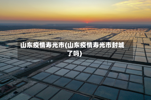 山东疫情寿光市(山东疫情寿光市封城了吗)-第2张图片