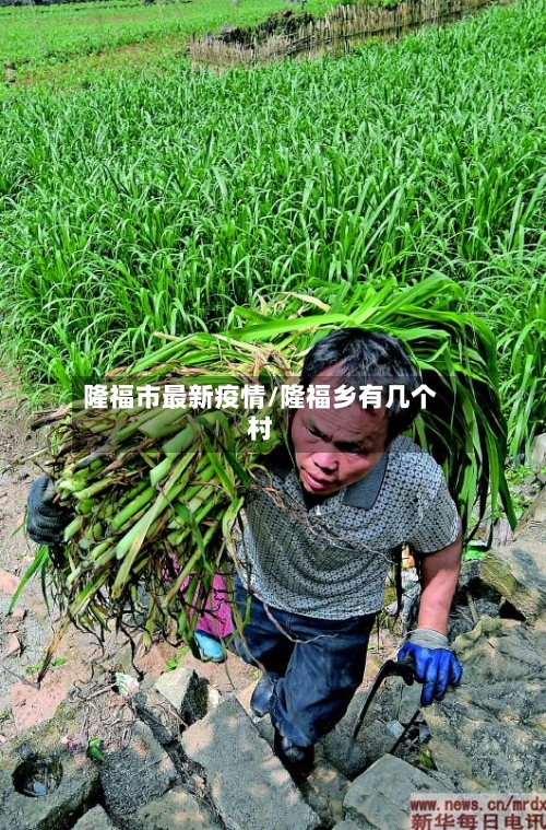 隆福市最新疫情/隆福乡有几个村-第1张图片