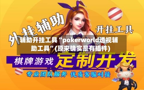 辅助开挂工具“pokerworld透视辅助工具”(原来确实是有插件)-第1张图片
