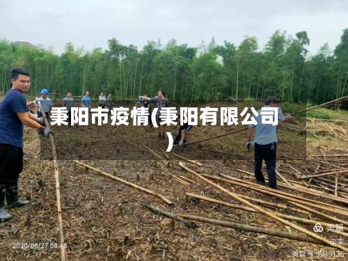 秉阳市疫情(秉阳有限公司)-第1张图片