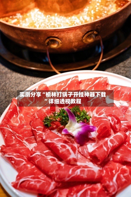 实测分享“榆林打锅子开挂神器下载”详细透视教程-第1张图片