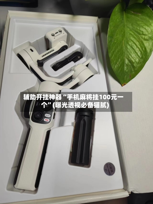 辅助开挂神器“手机麻将挂100元一个”(曝光透视必备猫腻)-第1张图片