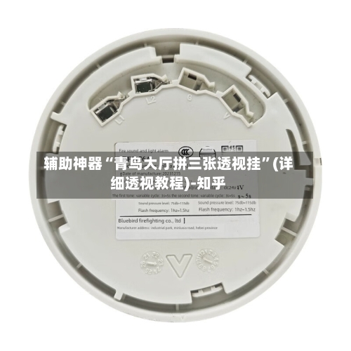 辅助神器“青鸟大厅拼三张透视挂”(详细透视教程)-知乎-第1张图片